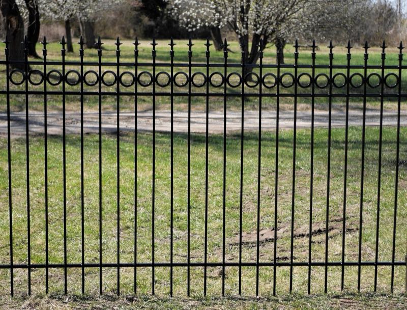 Iron Fence near Cedar Hill